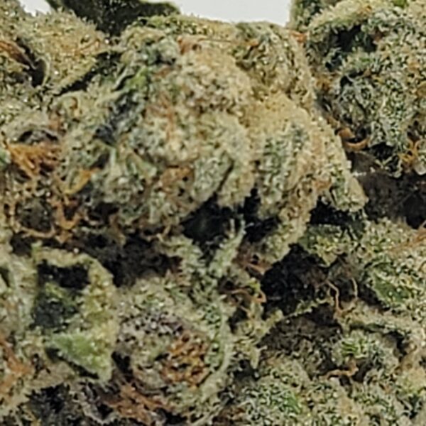 JACK FLASH #5 (A) - Image 3