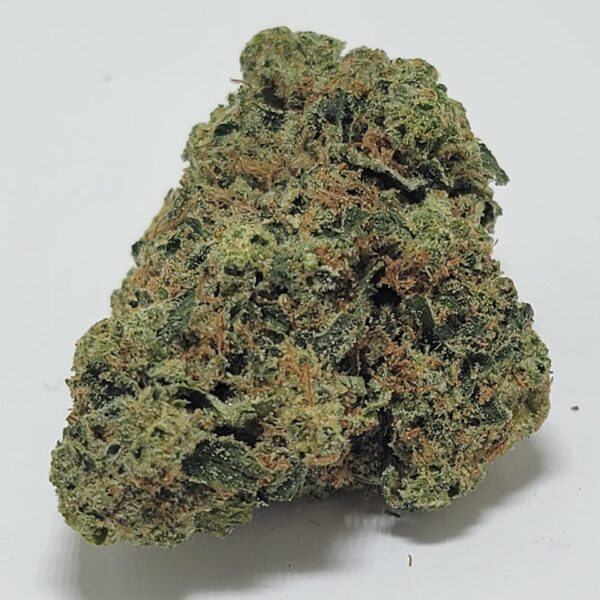 SAGE (AA) - Image 2