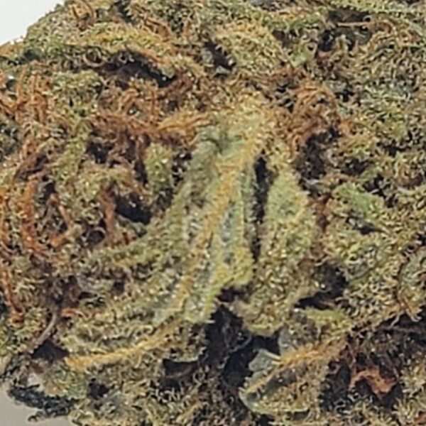 OG KUSH CBD (AA) - Image 3