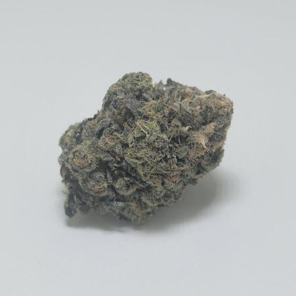 SUNSET SHERBET (AAAA)