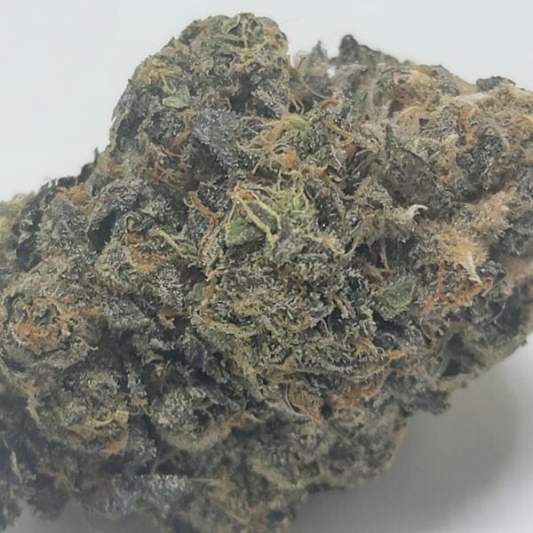 SUNSET SHERBET (AAAA) - Image 2