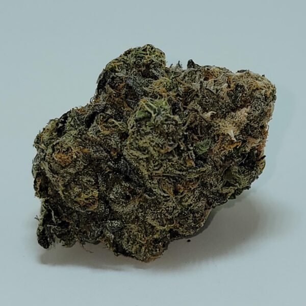 SUNSET SHERBET (AAAA) - Image 4