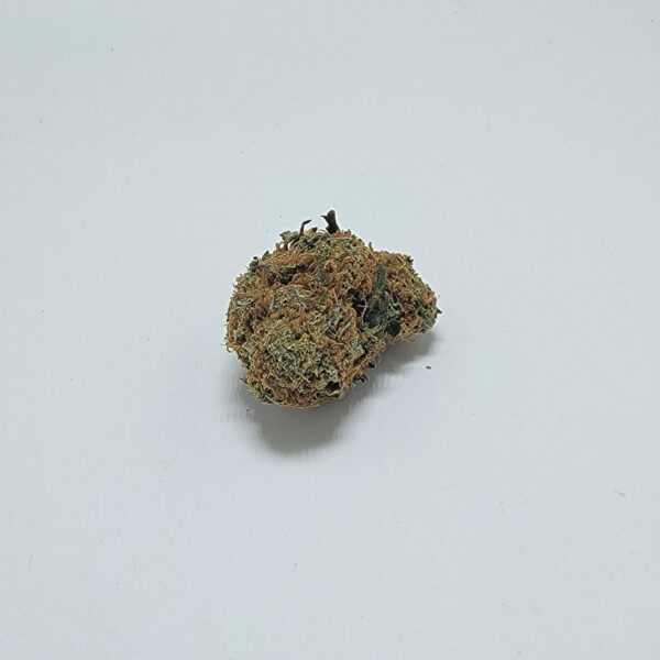 JELLY BEAN  (AA) - Image 2
