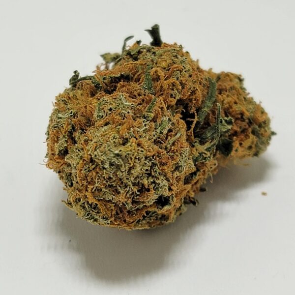 JELLY BEAN  (AA)