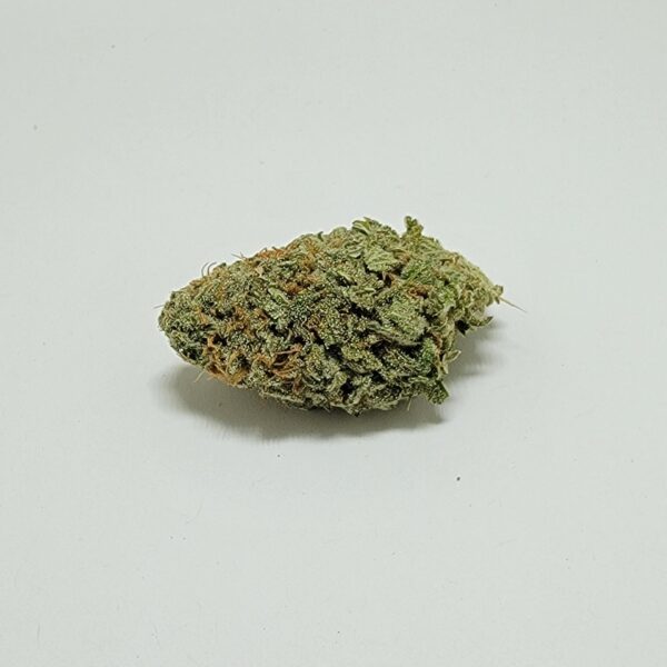 GORILLA GLUE  (AA)