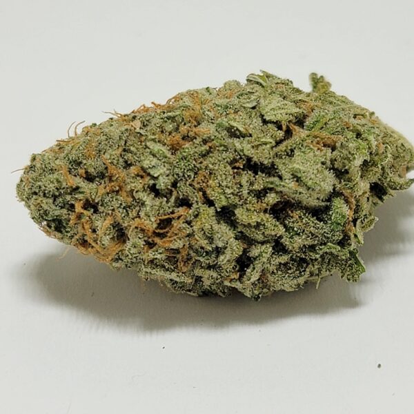 GORILLA GLUE  (AA) - Image 2
