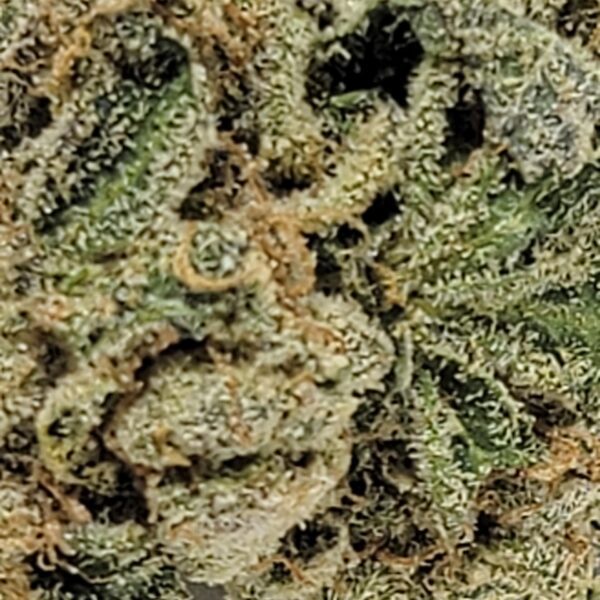 SOUR COOKIES  (AA) - Image 3