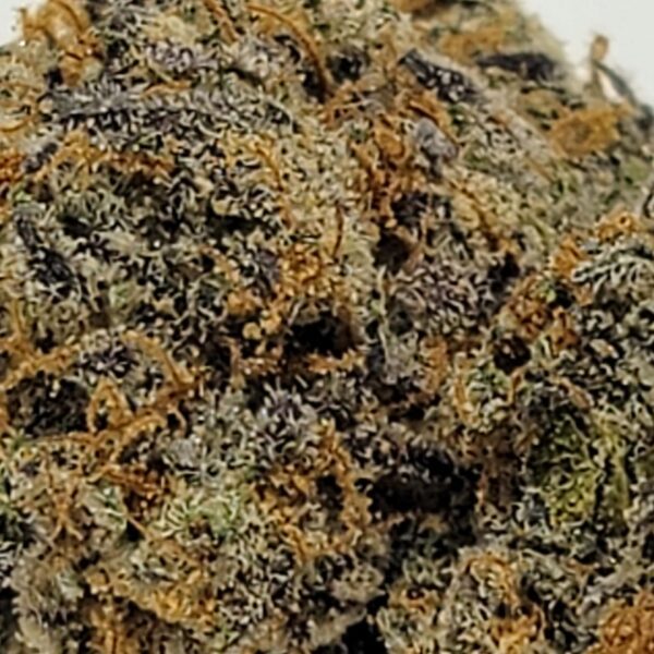 WHITE RUNTZ  (AAA) - Image 3
