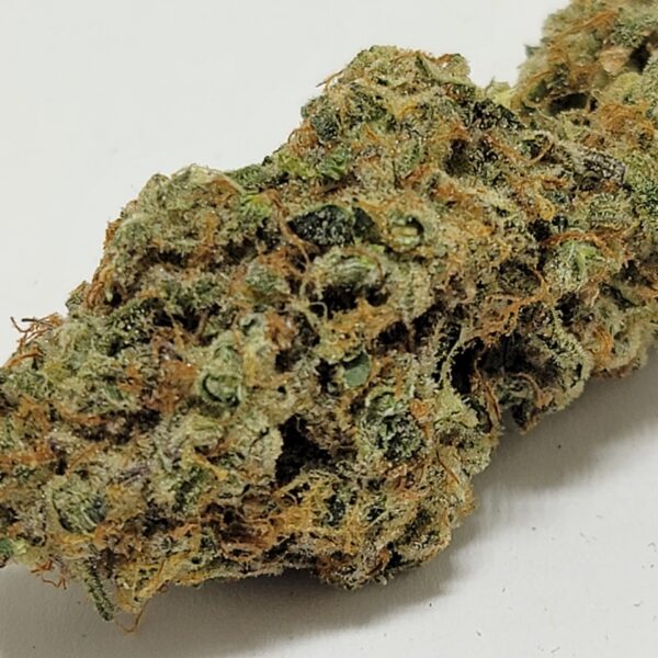 GORILLA GRAPES   (AAA) - Image 2
