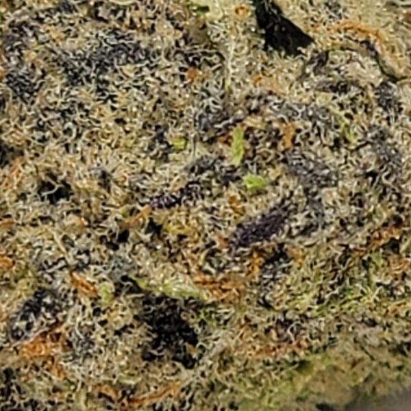 GRAPE MILKSHAKE  (AAA) - Image 3