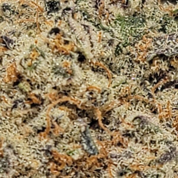 OREOZ   (AAAA) - Image 3