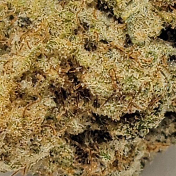 MAC DADDY   (AAAA) - Image 3