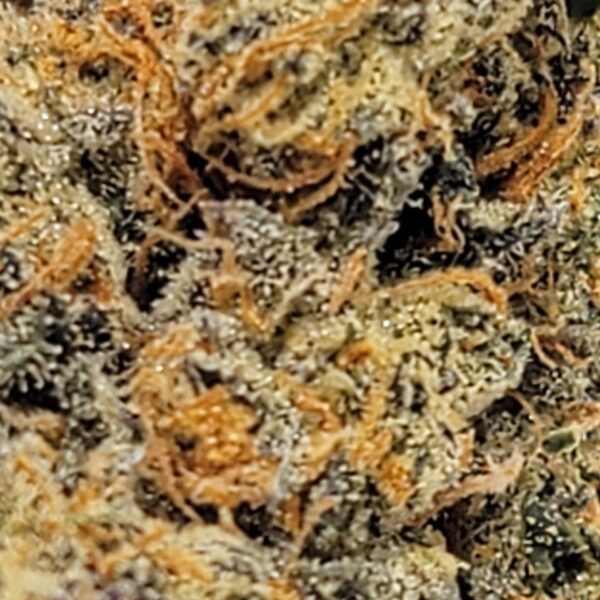 PEANUT BUTTER BREATH   (AAAA) - Image 3