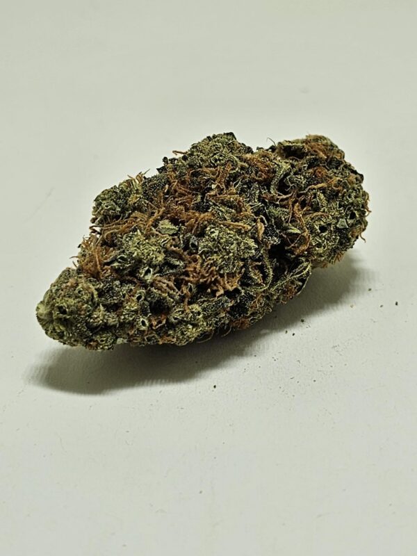 BANANA HAMMOCK  (AA)