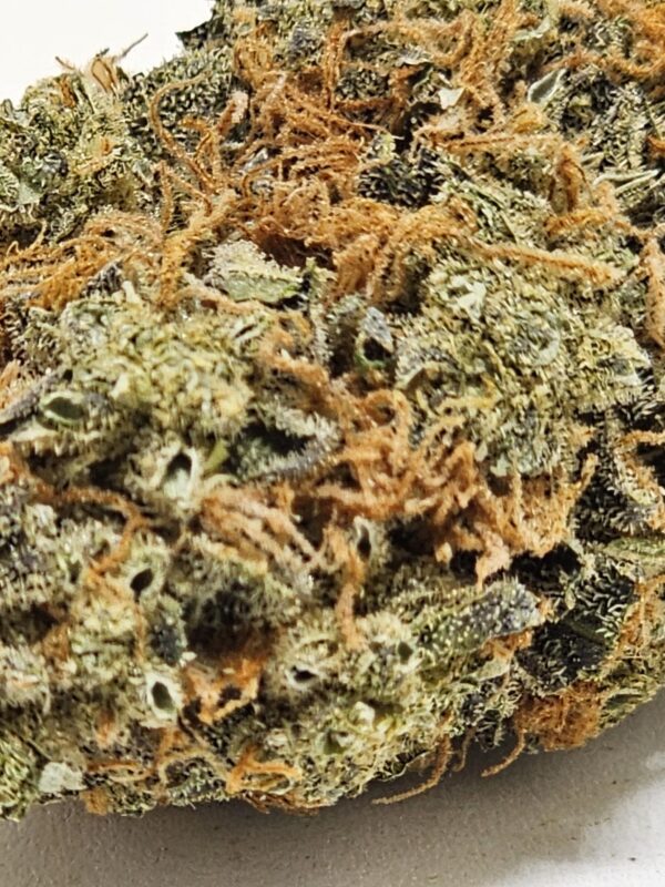 BANANA HAMMOCK  (AA) - Image 3