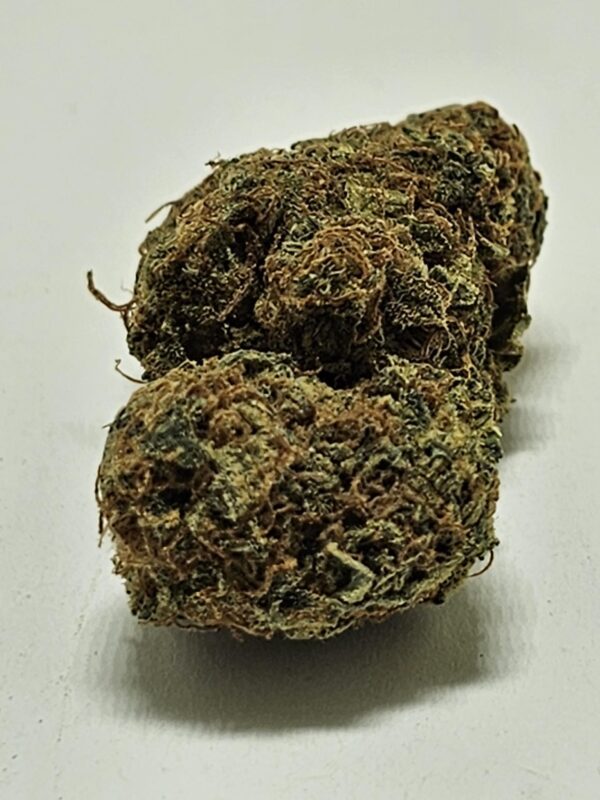 SOUR SAGE  (AA) - Image 2