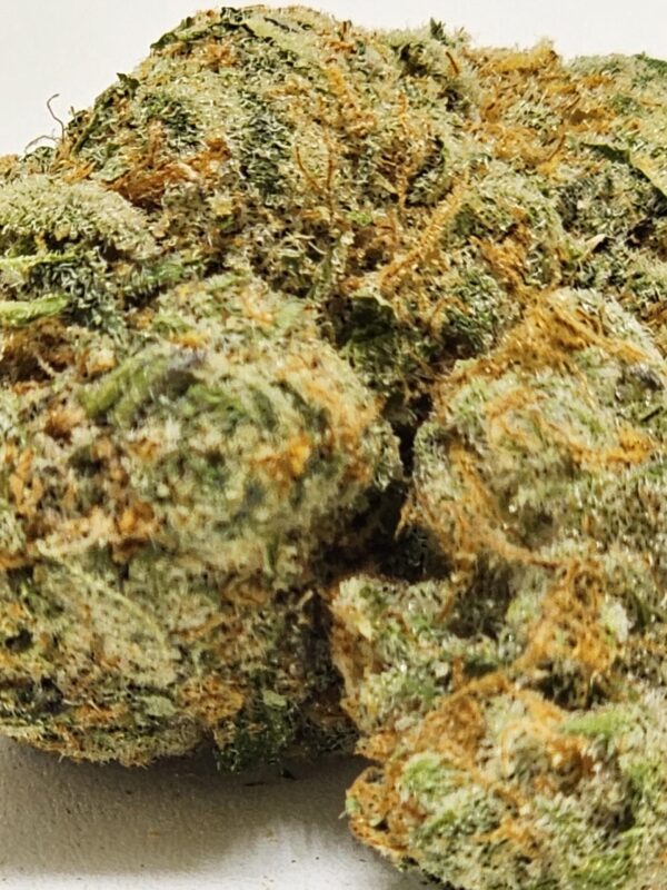 FRUIT GUSHER (AAA) - Image 3