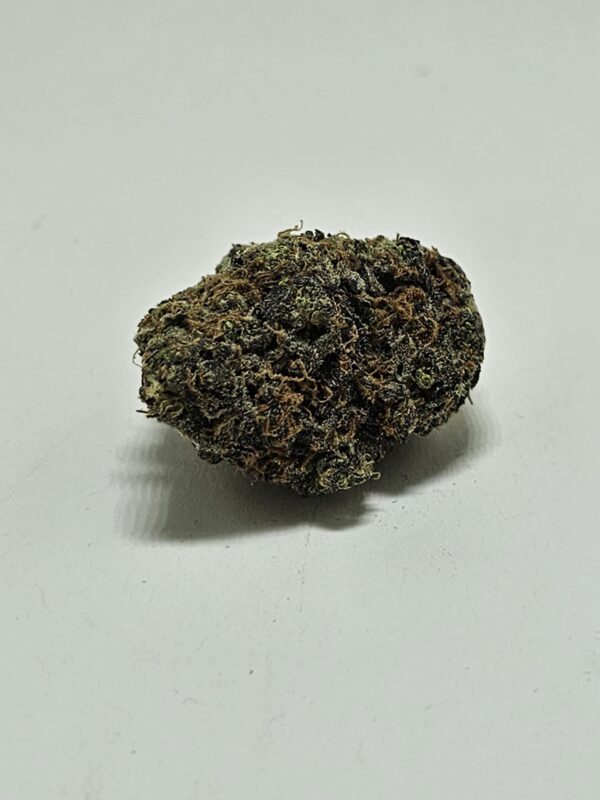 ALIEN  (AAA)