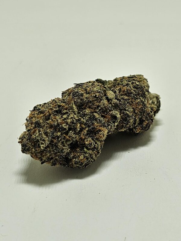 PURPLE LOTUS  (AAA)