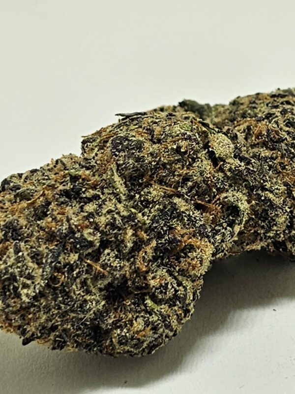 PURPLE LOTUS  (AAA) - Image 2