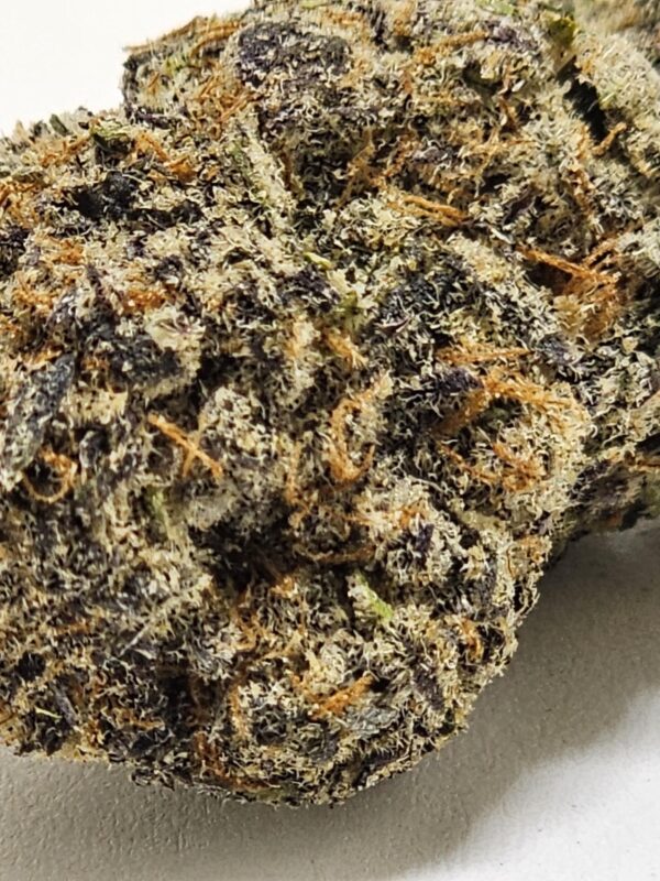 PURPLE LOTUS  (AAA) - Image 3
