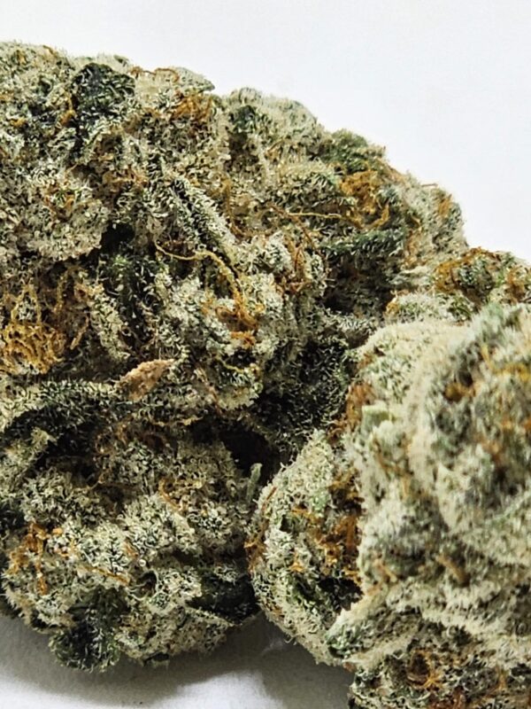 CRYSTAL GELATO  (AAA) - Image 2