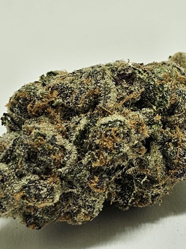 ORANGE TANGIE  (AAAA) - Image 2