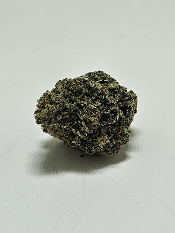 GAZ TRUFFLE  (AAAA)