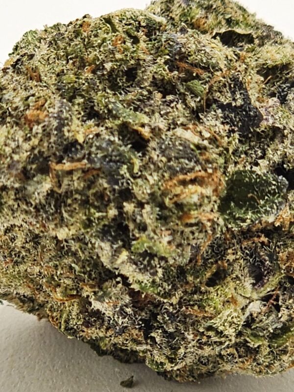 GAZ TRUFFLE  (AAAA) - Image 3