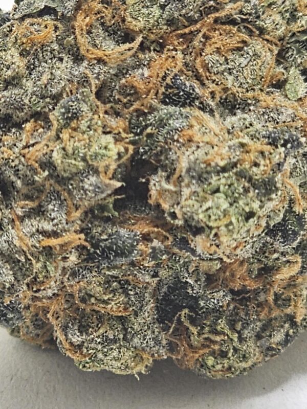 ZOAP  (AAAA) - Image 3