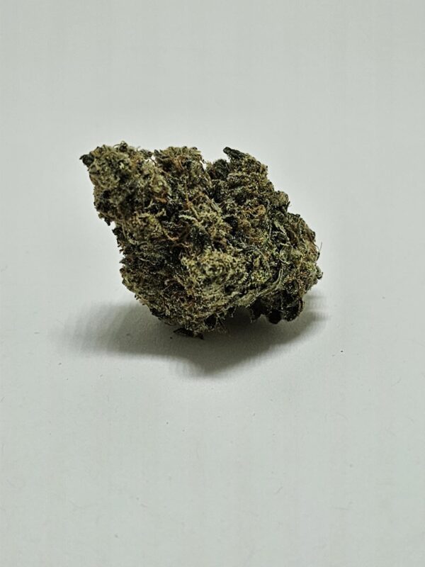 SOUR ANIMAL  (AAA)