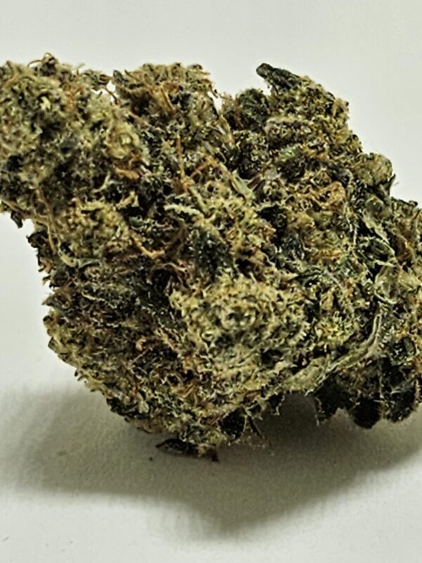 SOUR ANIMAL  (AAA) - Image 2