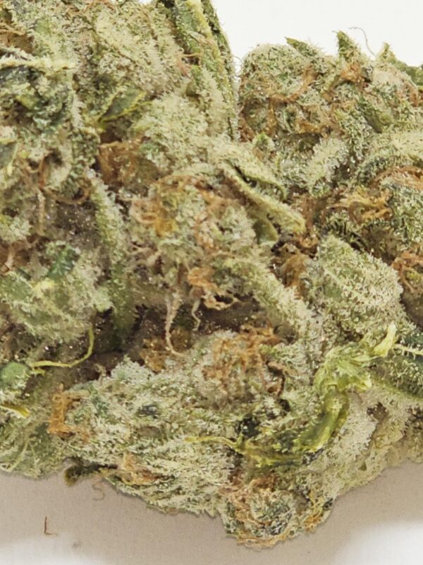BANANA COOKIE  (AA) - Image 3