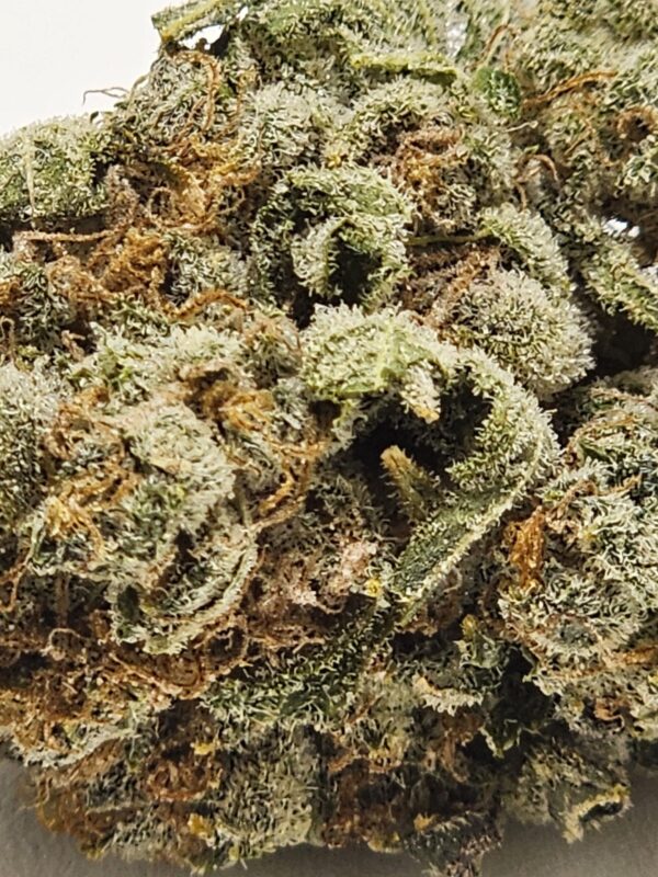 BUBBA MINT  (AA) - Image 3