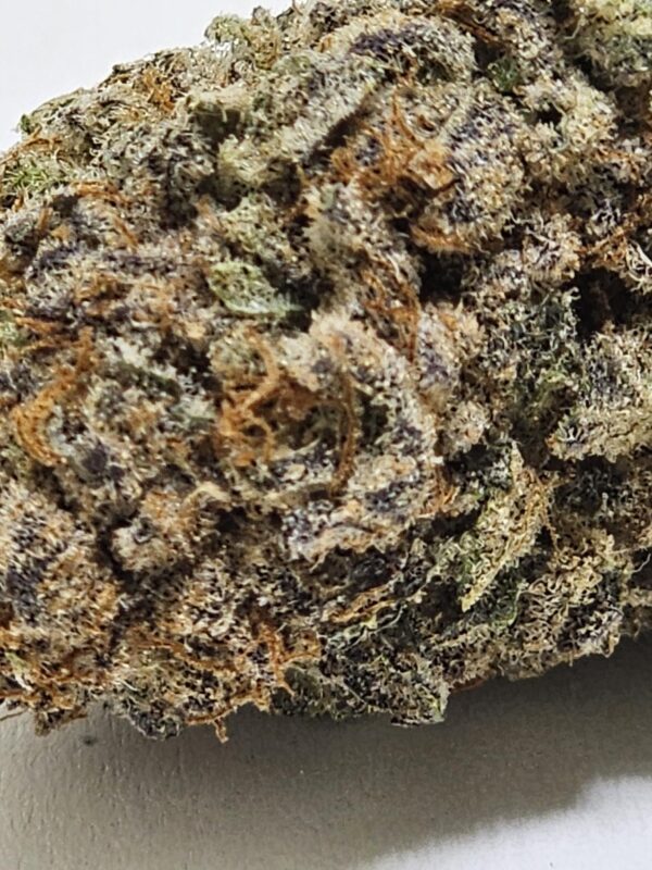 MANDARINE SKITTLEZ  (AA) - Image 3