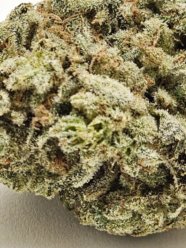 ORANGE ICE POP   (AAAA) - Image 3