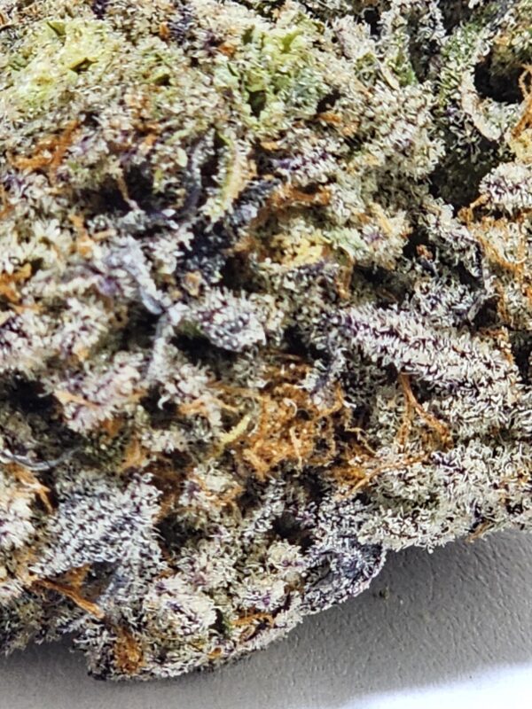 BLUEBERRY SKITTLEZ  (AAAA) - Image 3
