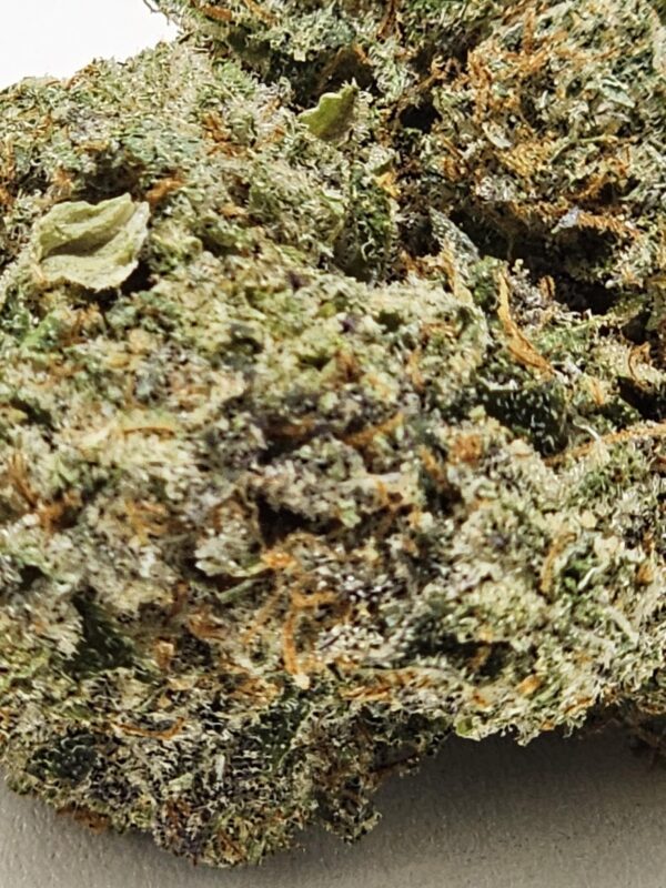 BAKLAVA  (AAAA) - Image 3