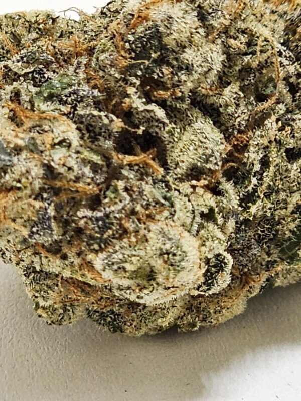 BLUE KIMO  (AAA) - Image 3