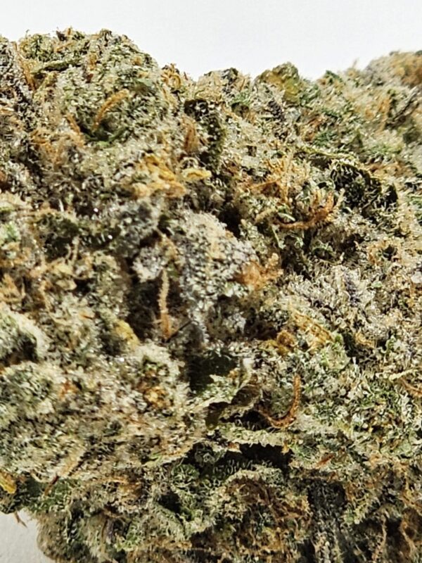 CREME DE MENTHE  (AAA) - Image 3