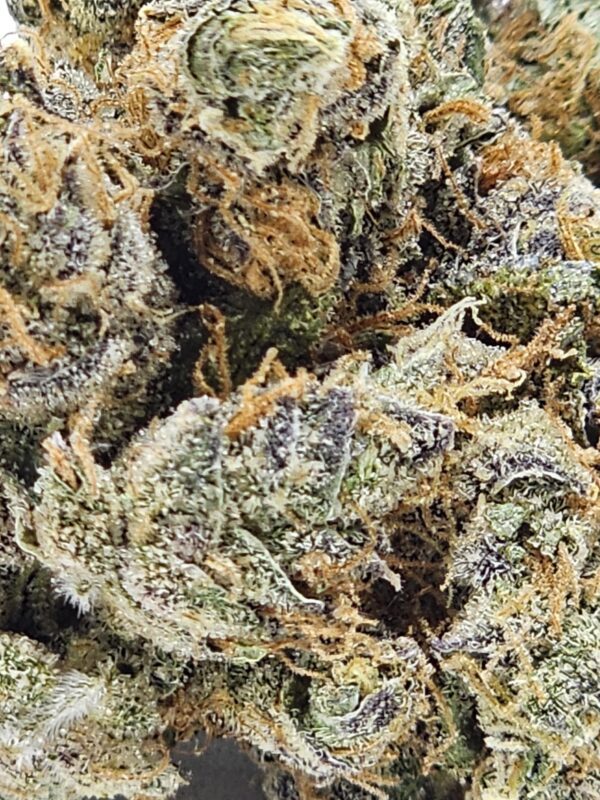 STRAWBERRY COUGH   (AAA) - Image 3