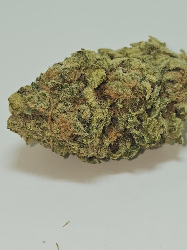 ORANGE CRUSH  (AA) - Image 2