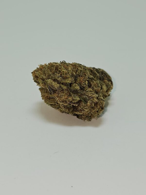 BLACKBERRY   (AA)