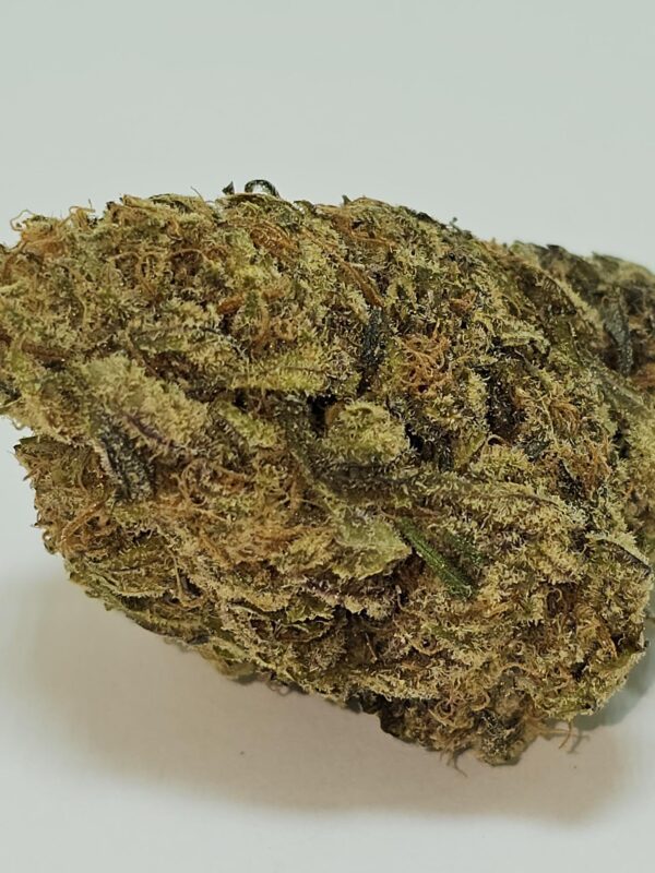 BLACKBERRY   (AA) - Image 2