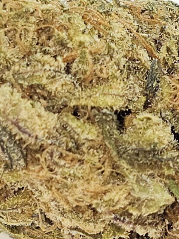 BLACKBERRY   (AA) - Image 3