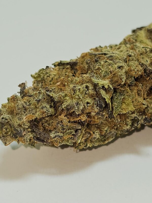 COTTON CANDY KUSH  (AA) - Image 2