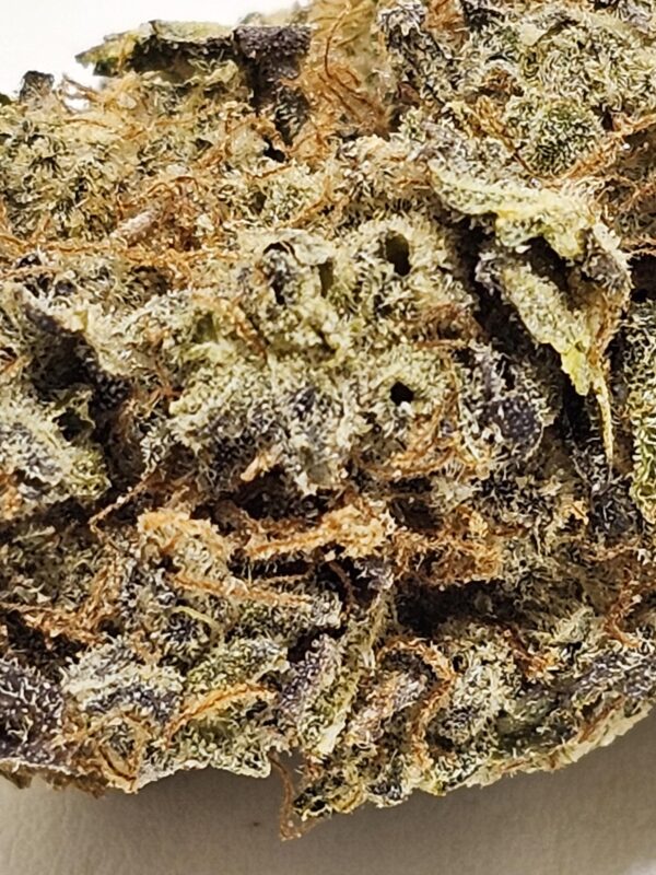 COTTON CANDY KUSH  (AA) - Image 3