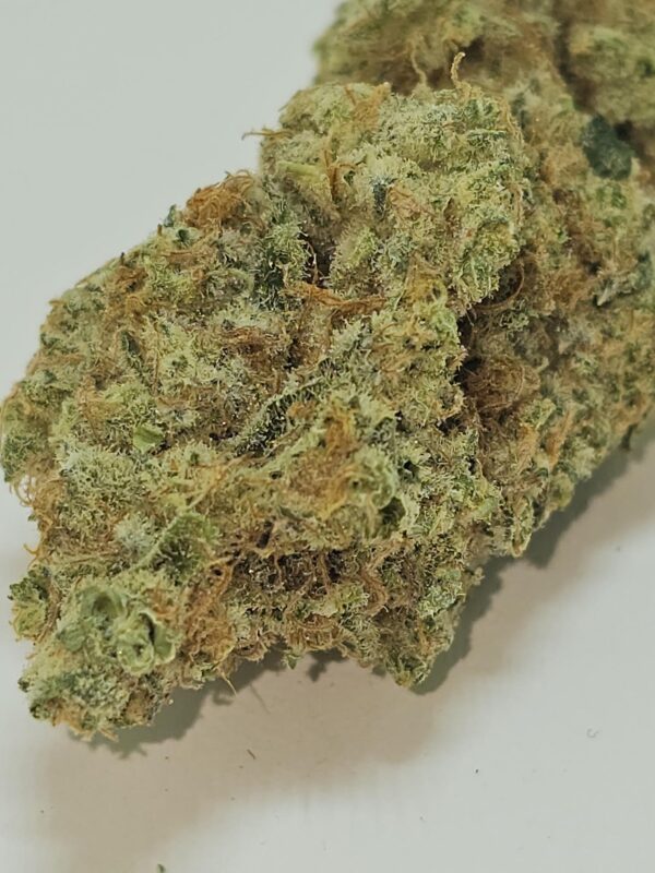 SLURRICANE PANCAKE   (AAAA) - Image 2