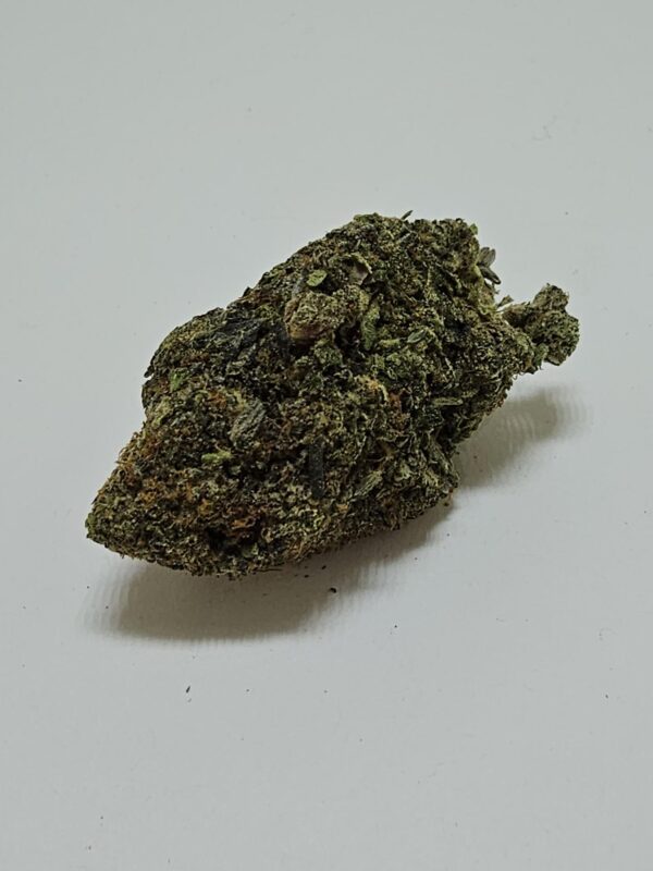 BLUE MOOCHI    (AAAA)