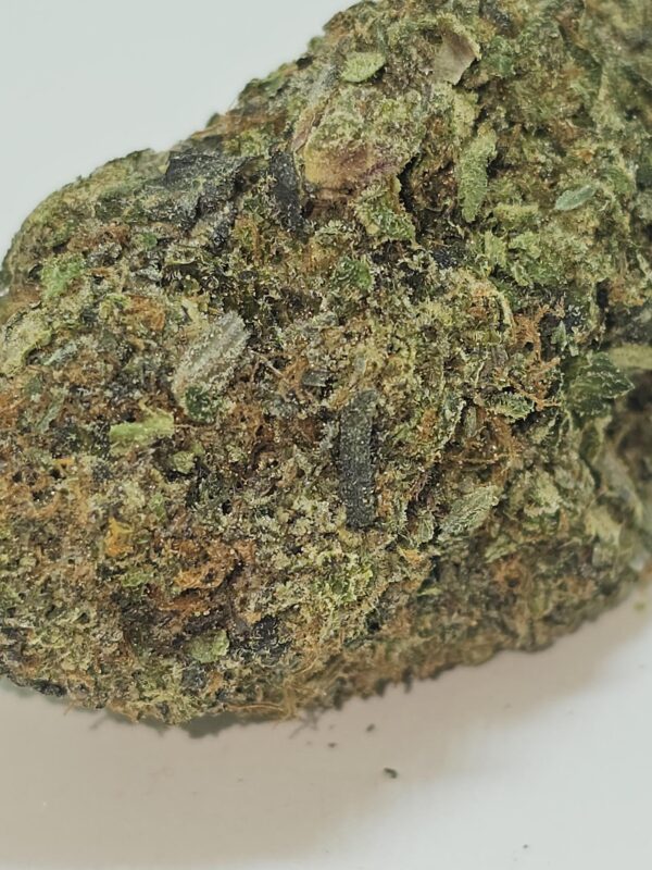 BLUE MOOCHI    (AAAA) - Image 2